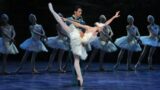 Il Lago dei Cigni in scena al Teatro San Carlo di Napoli