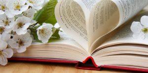 San Valentino 2015 a Napoli: BookMob a piazza San Domenico