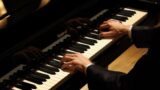Napoli Jazz Winter 2014 a Napoli all’auditorium Salvo D’Acquisto