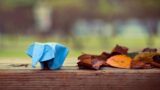 Nonsolocarta, l'arte degli origami in mostra a Port'Alba