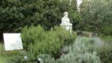 Orto Botanico di Napoli, visita guidata tra fiori, piante e lo spettacolo della natura