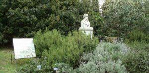 Botanischer Garten von Neapel, Führung von Blumen, Pflanzen und das Schauspiel der Natur