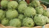 Sagre in Campania | Sagra del Carciofo Bianco di Auletta (SA)