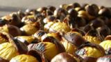 Sagre in Campania | Sagra della Castagna di Montella (AV)