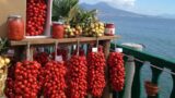 Sagre a Napoli | Sagra del Pomodorino del Piennolo a Cercola