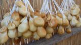 Sagre in Campania | Sagra del Riavulillo 2014 ad Arola di Vico Equense (NA)