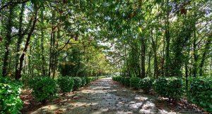 Moses Village, musica e divertimenti al Parco dei Camaldoli