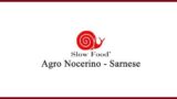 Sagre in Campania: torna la Festa in Condotta dell’Agro Sarnese Nocerino