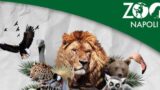 Зоопарк Неаполя: 10 может пройти бесплатно