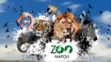 Carnevale a Napoli 2014 | Festa allo Zoo con “Un mondo a colori”
