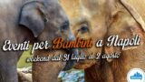 Eventi per bambini a Napoli per il weekend dal 31 luglio al 2 agosto 2015 | 4 consigli