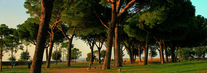 Parco Virgiliano Naples