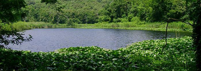 Astroni Nature Reserve Naples