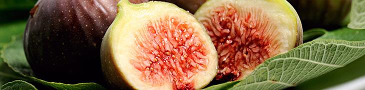 figs