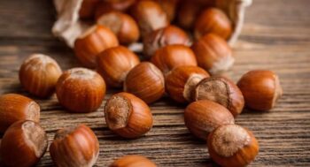 Hazelnut Festival - Prepezzano di Giffoni Sei Casali (SA)