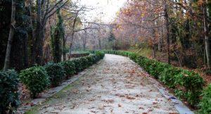 Bass Festival al Parco dei Camaldoli: concerti, laboratori e arti visive
