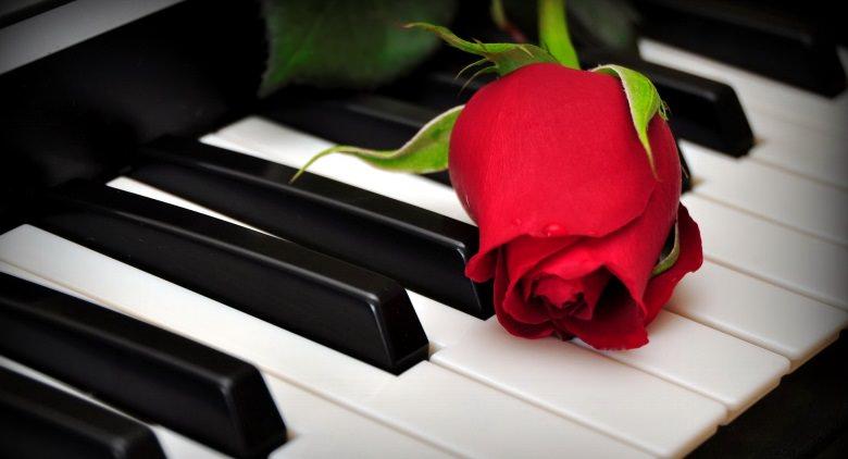 piano and roses