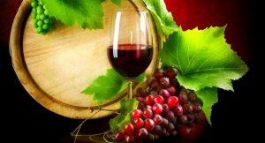 Festa del vino 2015 a Procida (NA)