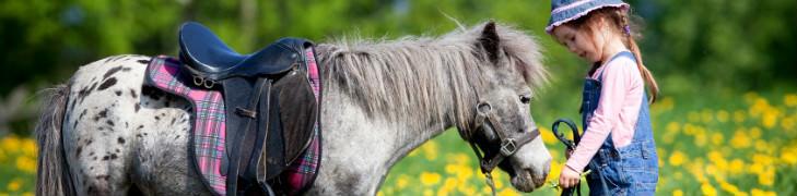 Die "Scuderia dei Piccoli" im Hippodrom von Agnano (Neapel)