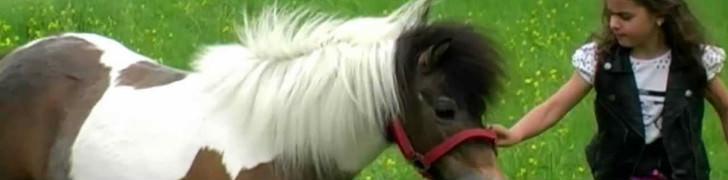 Pony rides at the Agnano racecourse