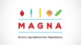 Magna, the Neapolitan agri-food exhibition at San Domenico Maggiore with events and tastings