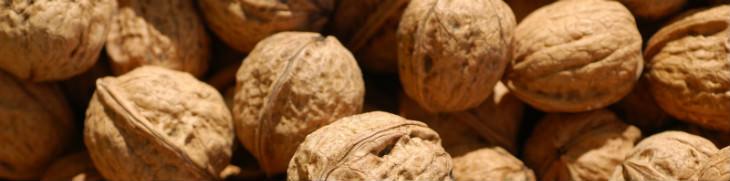 Walnuts