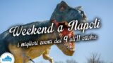 Что делать в Неаполе на выходных: Дни динозавра, Piano City и многое другое | От 9 до 11 Октябрьский 2015