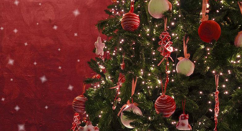 Árbol de ignición de Caposele para 2015 Christmas