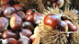 Sagra della Castagna 2015 a Montella con degustazioni, musica e divertimento