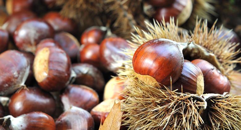 Chestnut Festival Montella