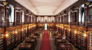 Visite guidate gratuite ai Musei delle Scienze Naturali di Napoli