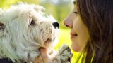 Ritorna l’Animal Day nella sua seconda edizione al museo PAN di Napoli