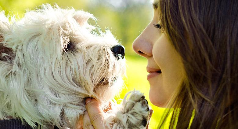 2016 Animal Day at the Naples PAN