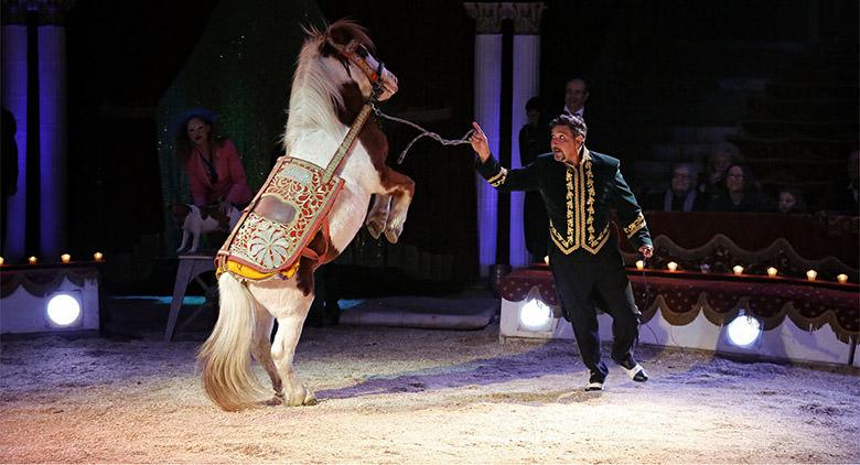 Circo Darix Togni en Ercolano y Sant'Anastasia