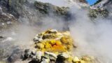 Вечерние экскурсии по Сольфатара с дегустациями геотермальной кухни
