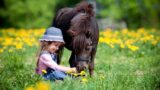 Ingresso gratuito all’Ippodromo di Agnano per il divertente evento Aspettando la Primavera