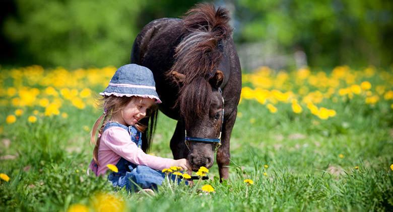 Free admission to the Agnano Hippodrome