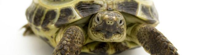 3動物園での週末