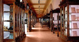 يفتح متحف تشريح نابولي للجمهور: إنه من بين الأقدم والأكثر اكتمالا في العالم