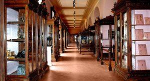 Das Anatomische Museum von Neapel öffnet sich wieder für die Öffentlichkeit: es gehört zu den ältesten und vollständigsten der Welt