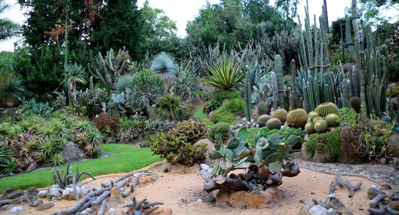 Planta 2016 en el Jardín Botánico