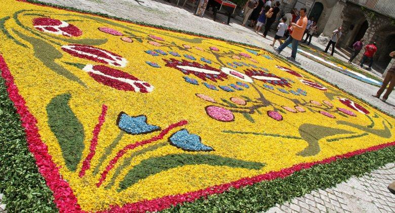 2016 Infiorata in Cusano Mutri