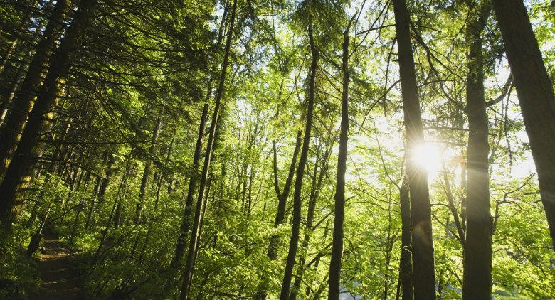 WWF 2016 journées portes ouvertes avec entrée gratuite