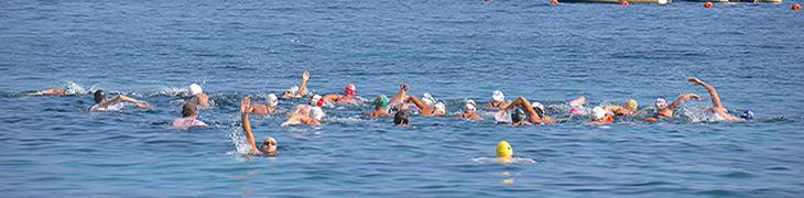 Swimming marathon Capri Naples