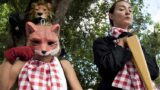 Fiabe d’Autunno 2016 all’Orto Botanico di Napoli: programma degli spettacoli