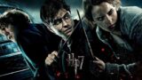 Mezzanotte con Harry Potter alla Feltrinelli di Napoli: arriva il nuovo libro