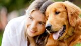 Quattrozampeinfiera 2016 alla Mostra d’Oltremare con eventi per cani e gatti