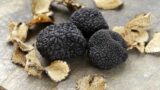Sagra della castagna e del tartufo 2016 a Bagnoli Irpino con visite e mostre