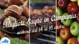 Sagre in Campania nel weekend dal 14 al 16 ottobre 2016