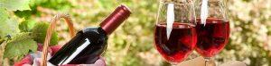 Bionisico, the event dedicated to organic wine